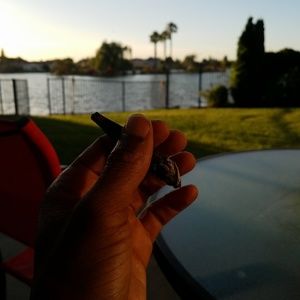 Meet your Posher, Sammy